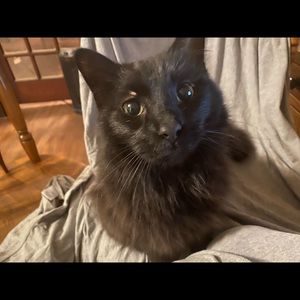 Meet your Posher, Trinity